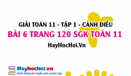 Giải bài 6 trang 120 Toán 11 tập 1 SGK Cánh Diều